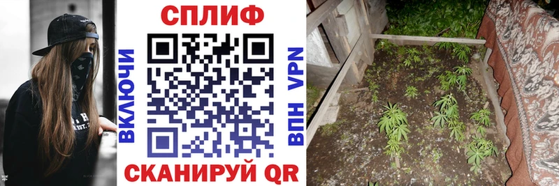 Купить закладки  Лодейное Поле  Бошки марихуана ГИДРОПОН 